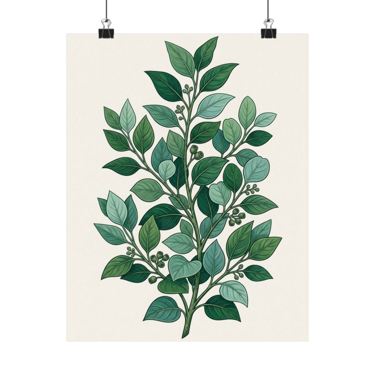 Botanical Eucalyptus Branch - Poster
